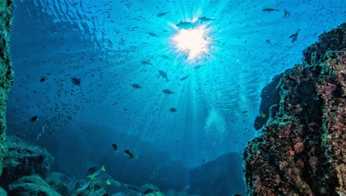 The World Bank is planning to raise at least $3bn (£2.3bn) through 'blue bonds'. Stock image.